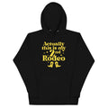 Actually This Is My 2nd Rodeo Unisex Hoodie product image 1