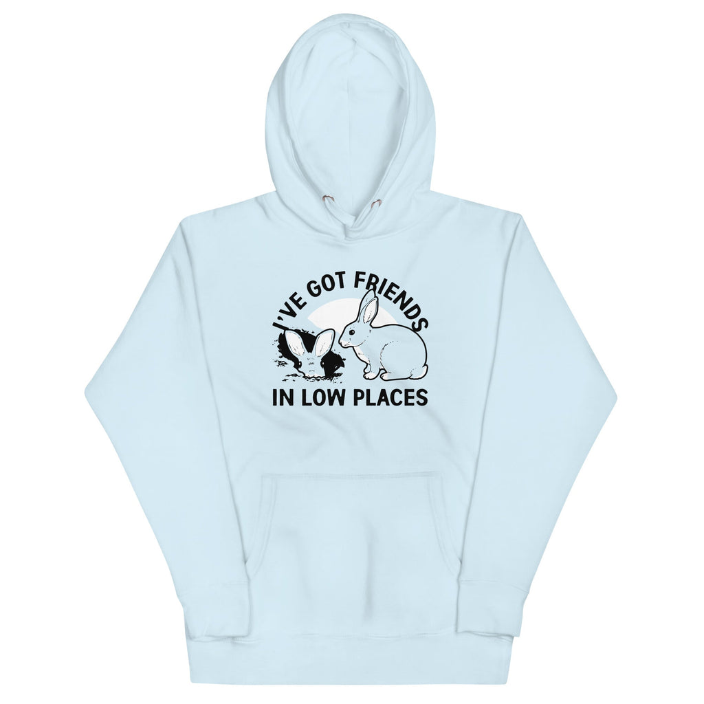 I've Got Friends In Low Places Unisex Hoodie product image 3