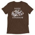 Maybe Tomorrow Men's Tri-Blend Tee product image 1