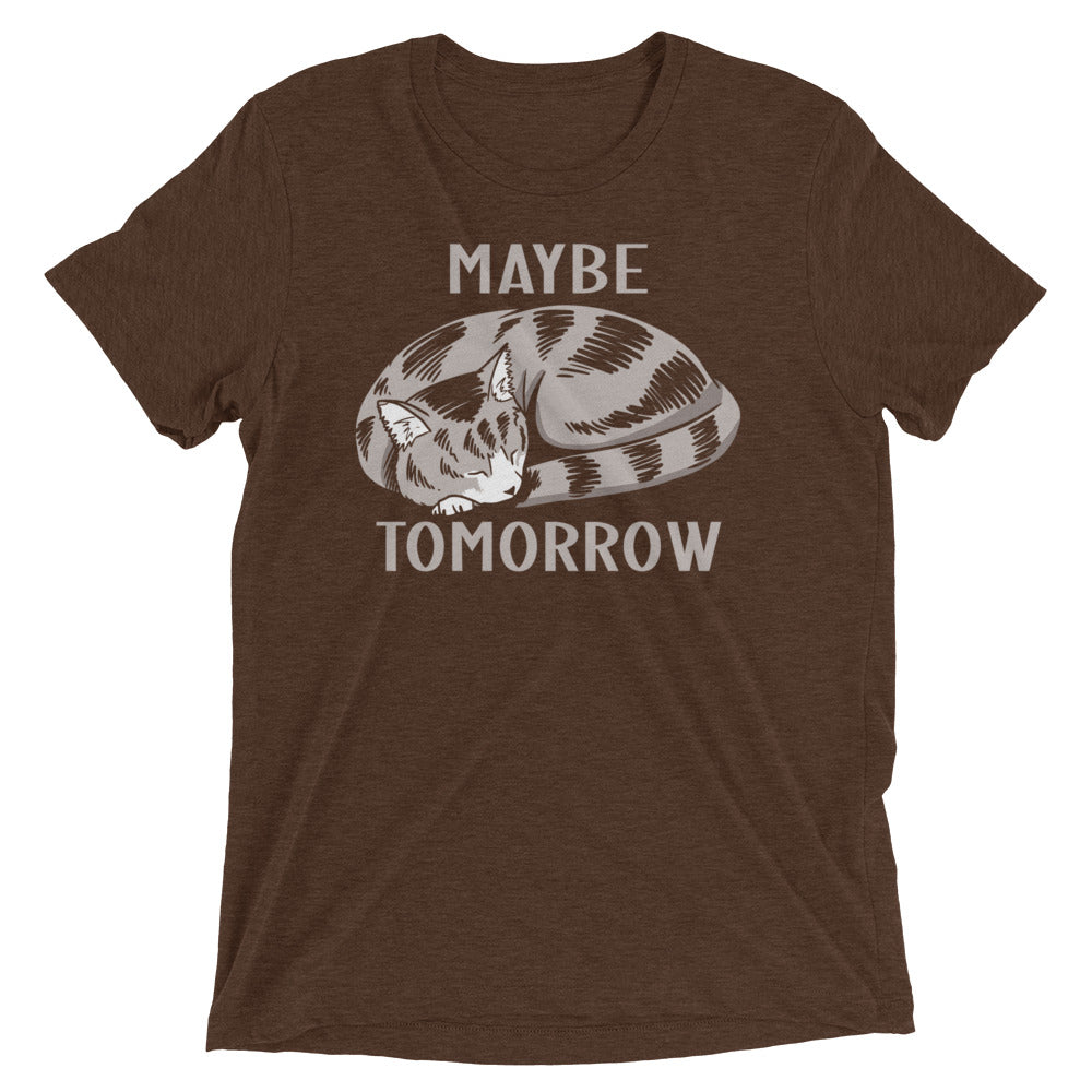 Maybe Tomorrow Men's Tri-Blend Tee product image 1
