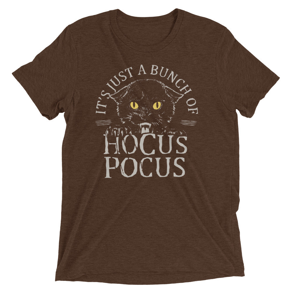 Hocus Pocus Men's Tri-Blend Tee product image 3