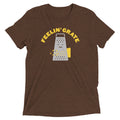 Feelin' Grate Men's Tri-Blend Tee product image 1