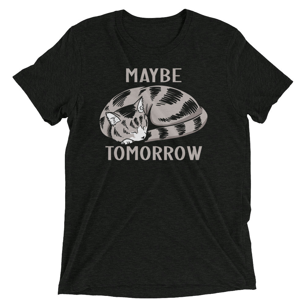Maybe Tomorrow Men's Tri-Blend Tee product image 2