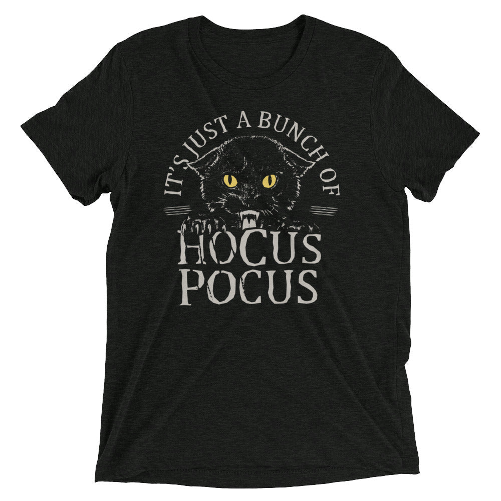 Hocus Pocus Men's Tri-Blend Tee product image 1