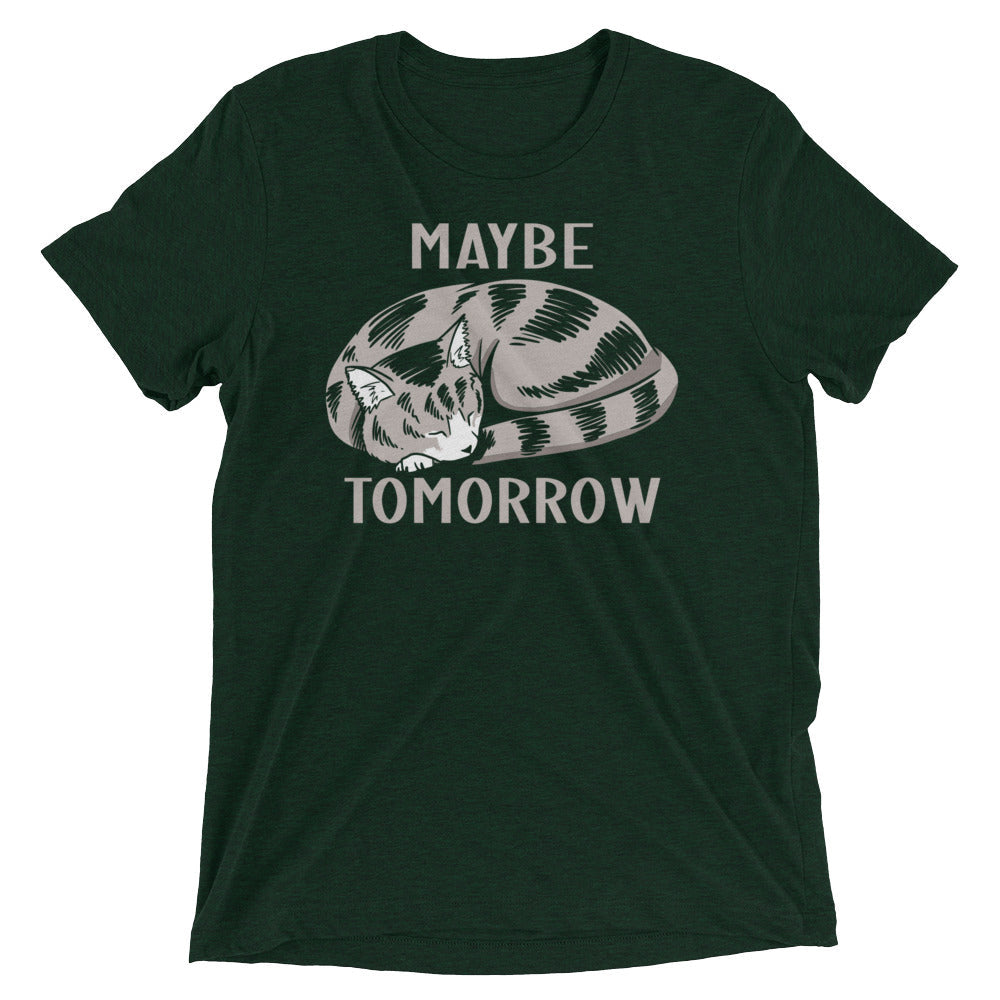 Maybe Tomorrow Men's Tri-Blend Tee product image 3