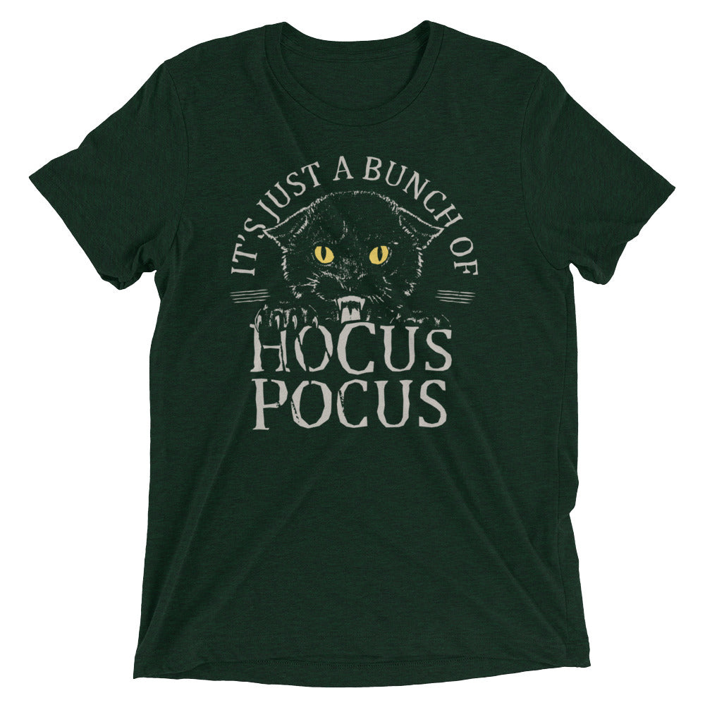 Hocus Pocus Men's Tri-Blend Tee product image 2