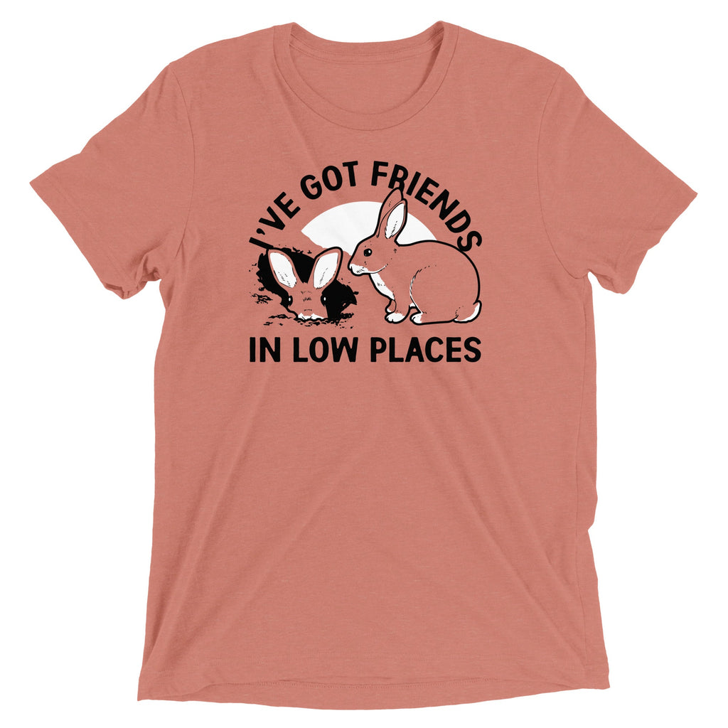 I've Got Friends In Low Places Men's Tri-Blend Tee product image 3