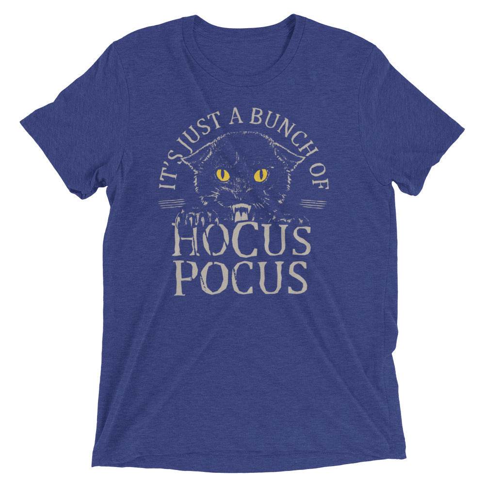 Hocus Pocus Men's Tri-Blend Tee product image 4