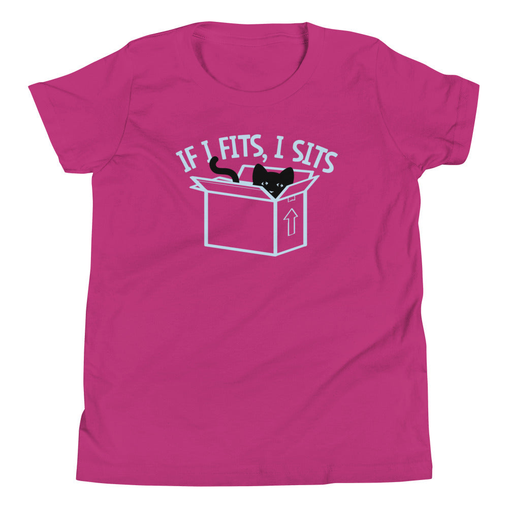If I Fits, I Sits Kid's Youth Tee product image 2