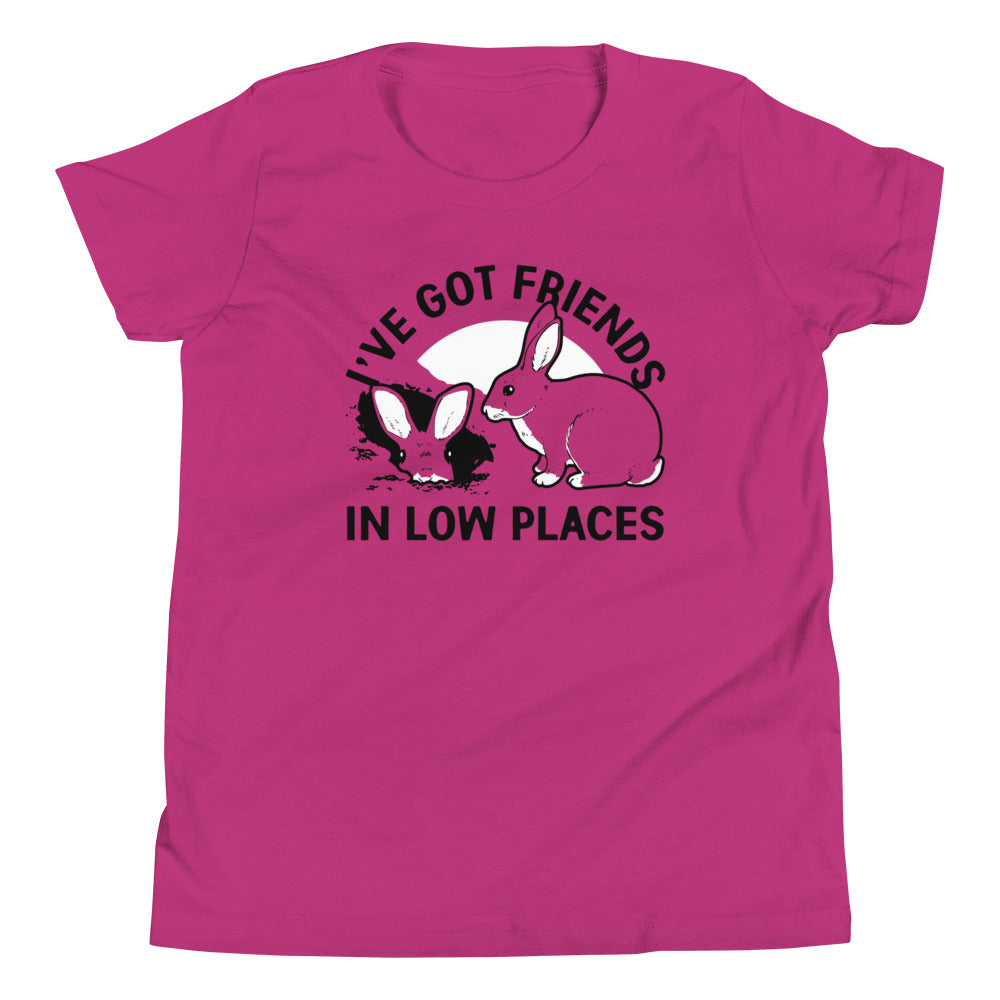 I've Got Friends In Low Places Kid's Youth Tee product image 2