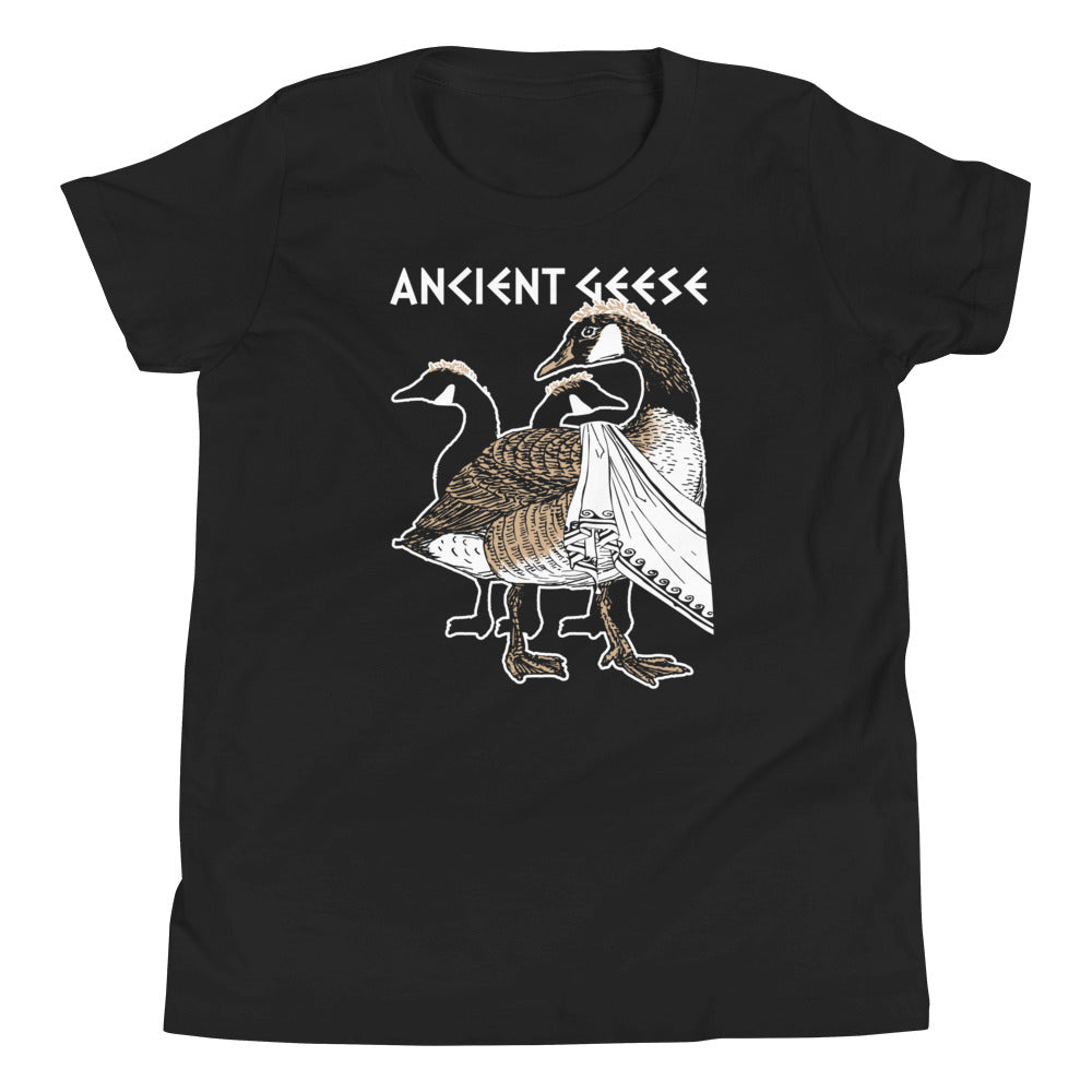 Ancient Geese Kid's Youth Tee product image 2