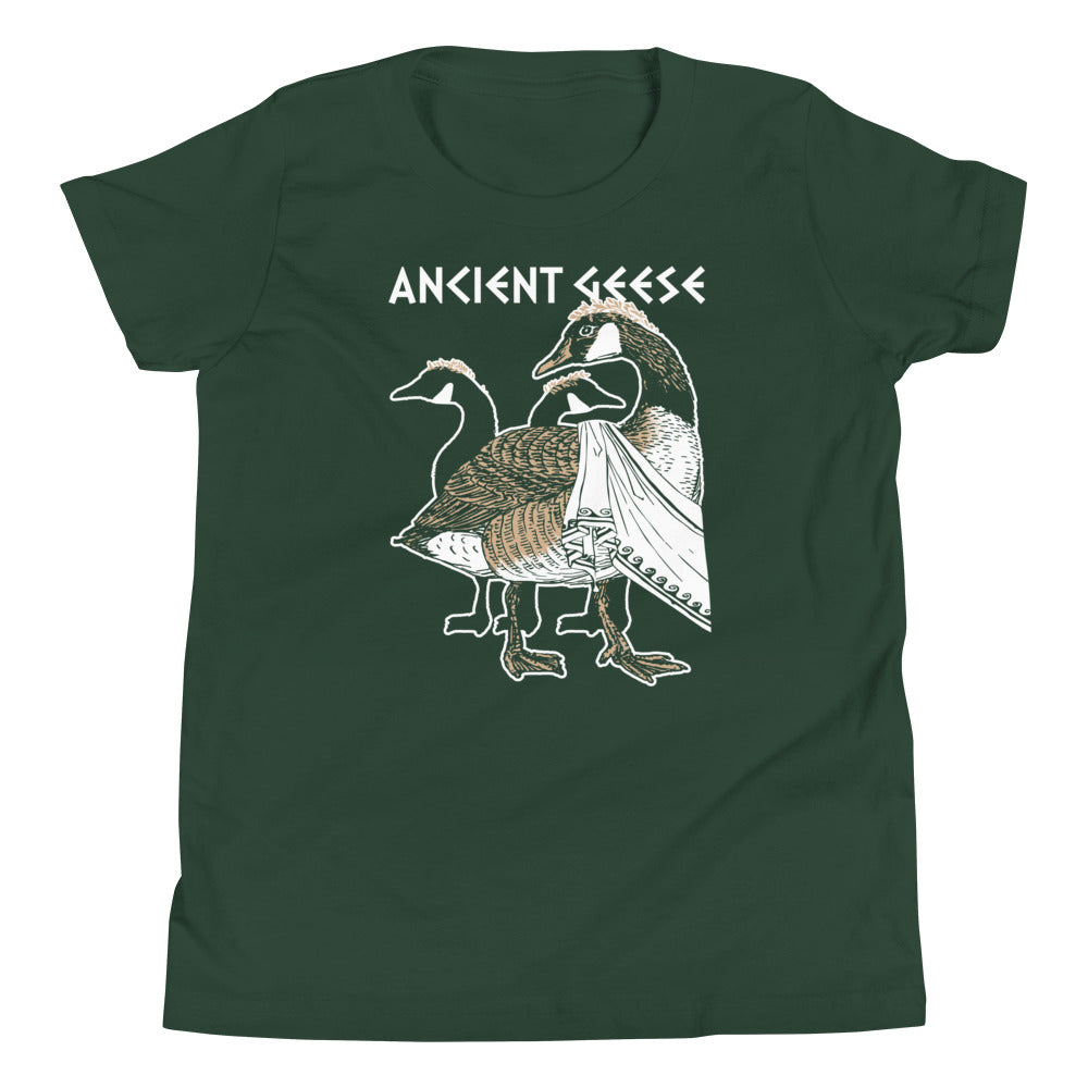 Ancient Geese Kid's Youth Tee product image 5