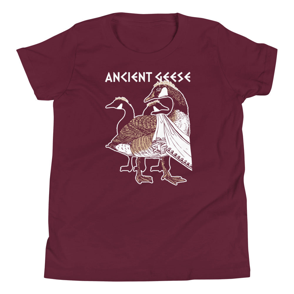 Ancient Geese Kid's Youth Tee product image 4