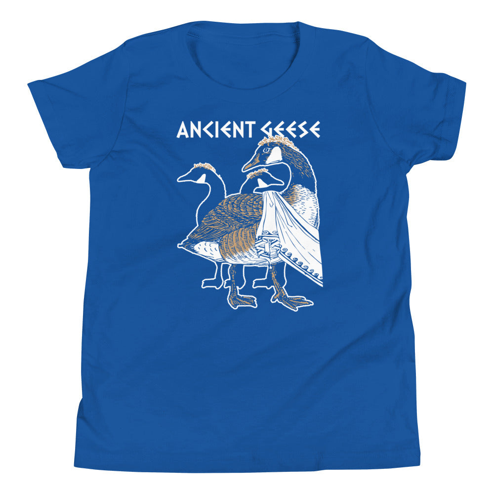Ancient Geese Kid's Youth Tee product image 1
